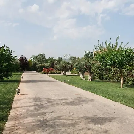 Villa Amnesia *